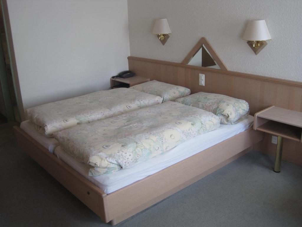 Hotel Des Alpes Realp Pokoj fotografie